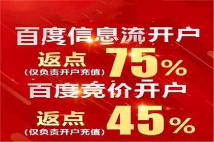 SEO与SEM案例分析：提升网站排名策略